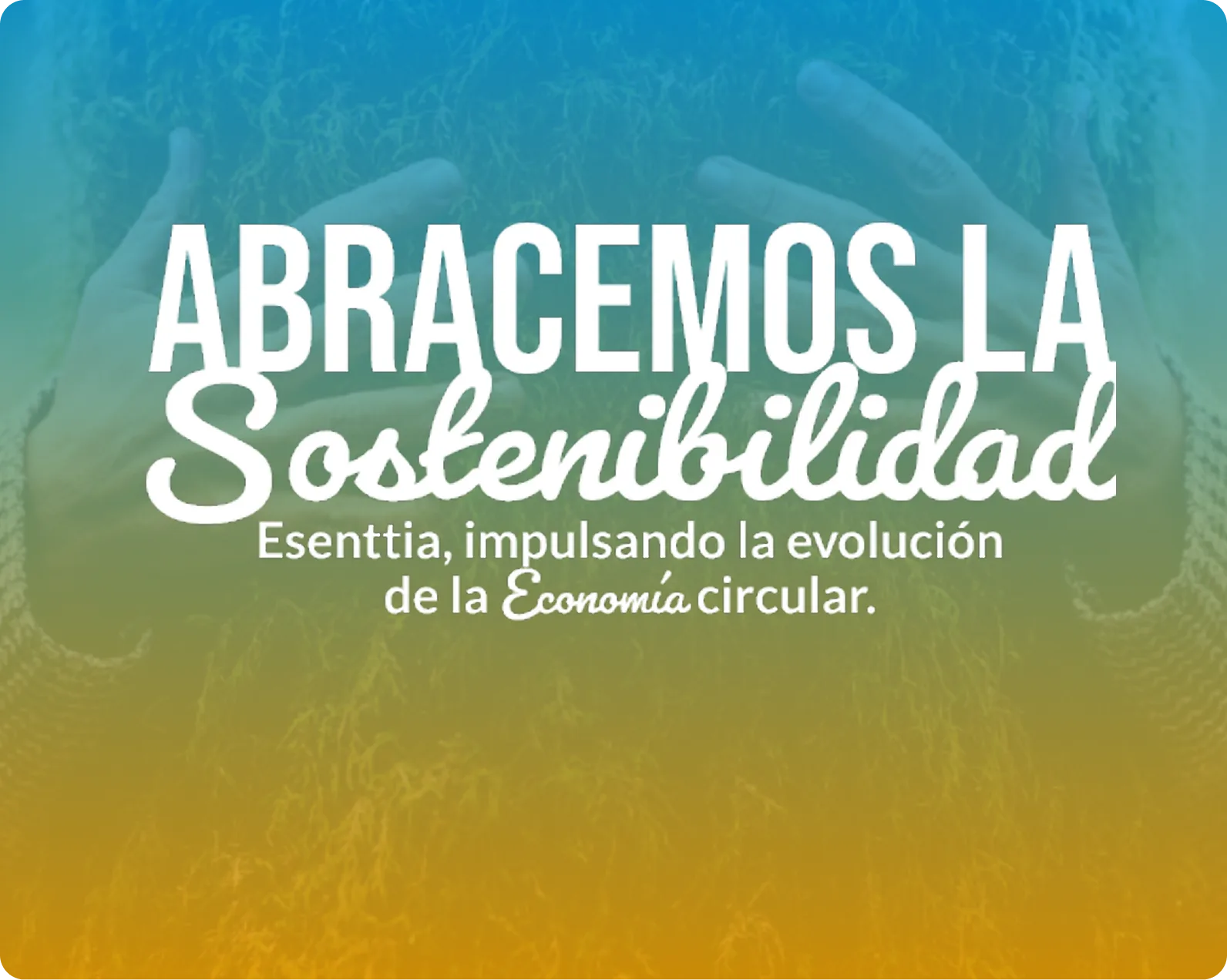 Sostenibilidad