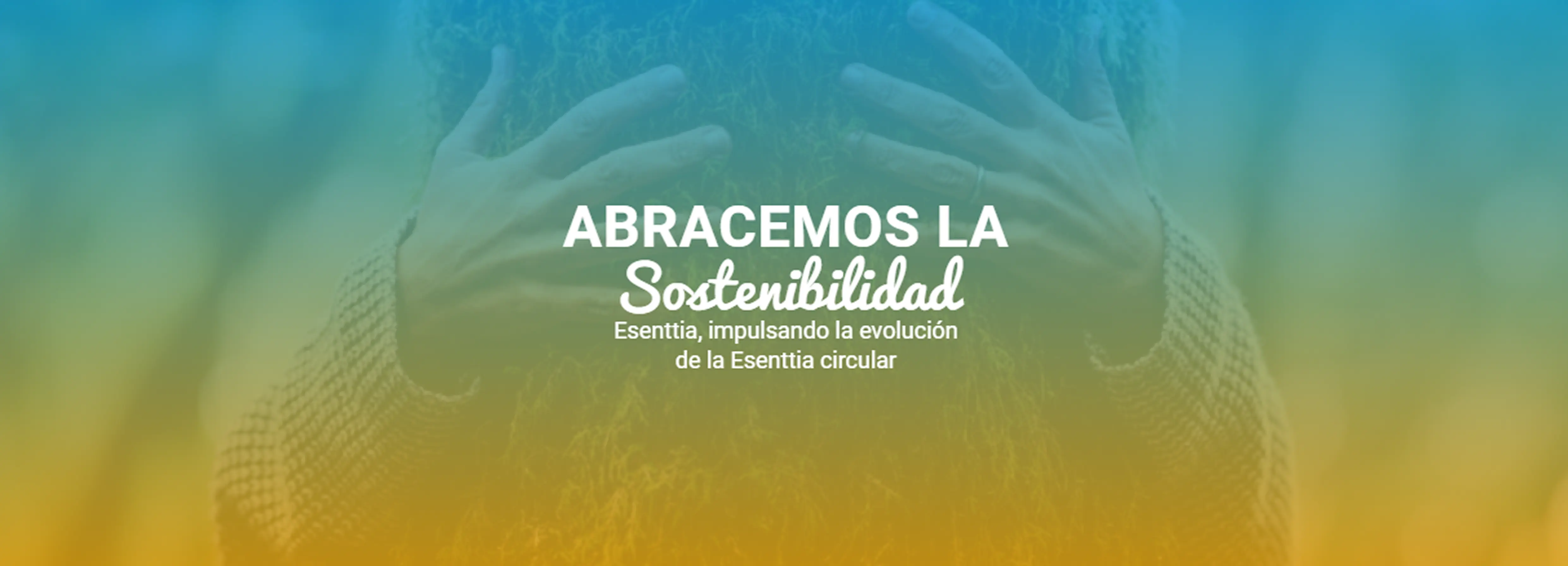 Descubre nuestro portafolio sostenible