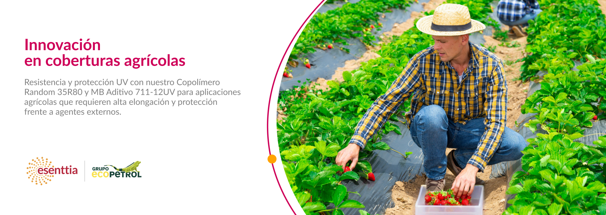 Innovación en coberturas agrícolas: resistencia, protección UV y alta elongación
