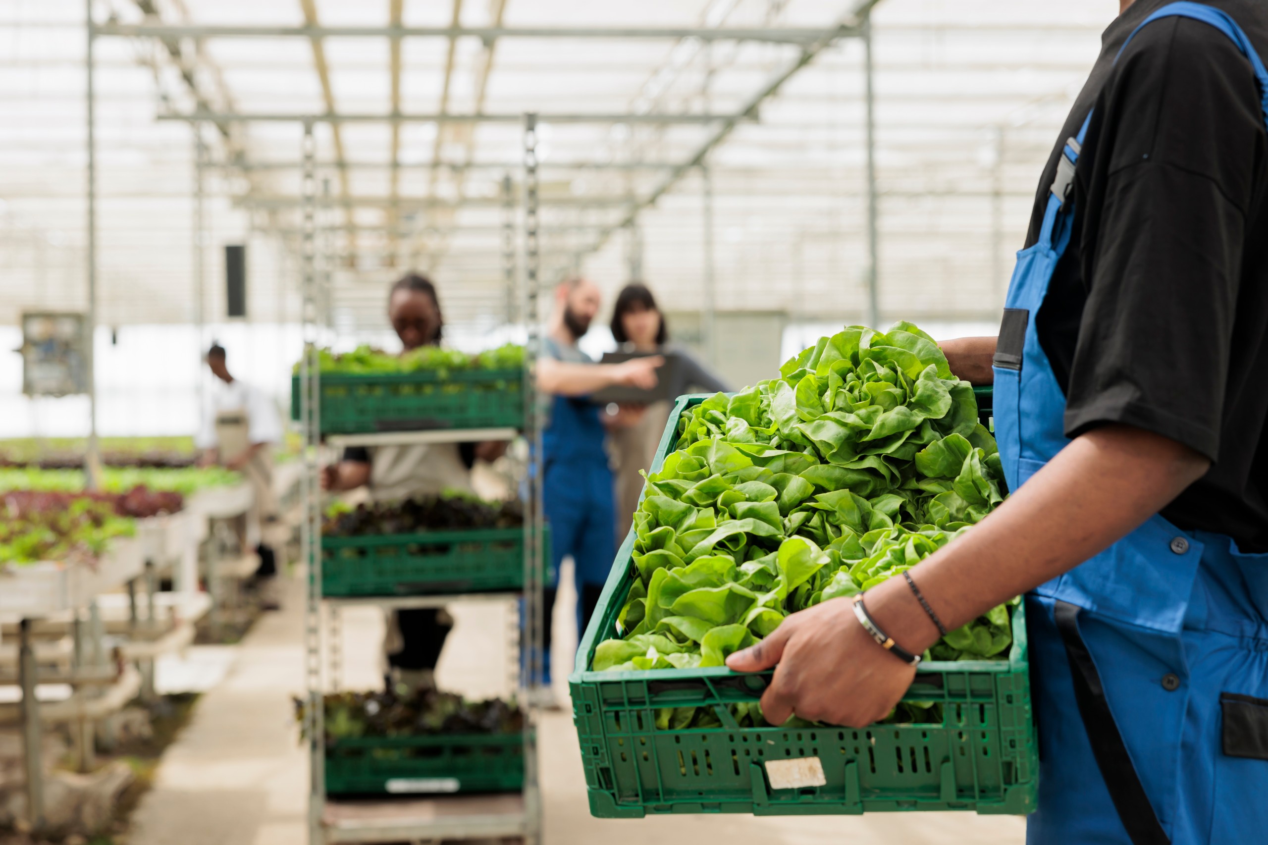 Agroindustria