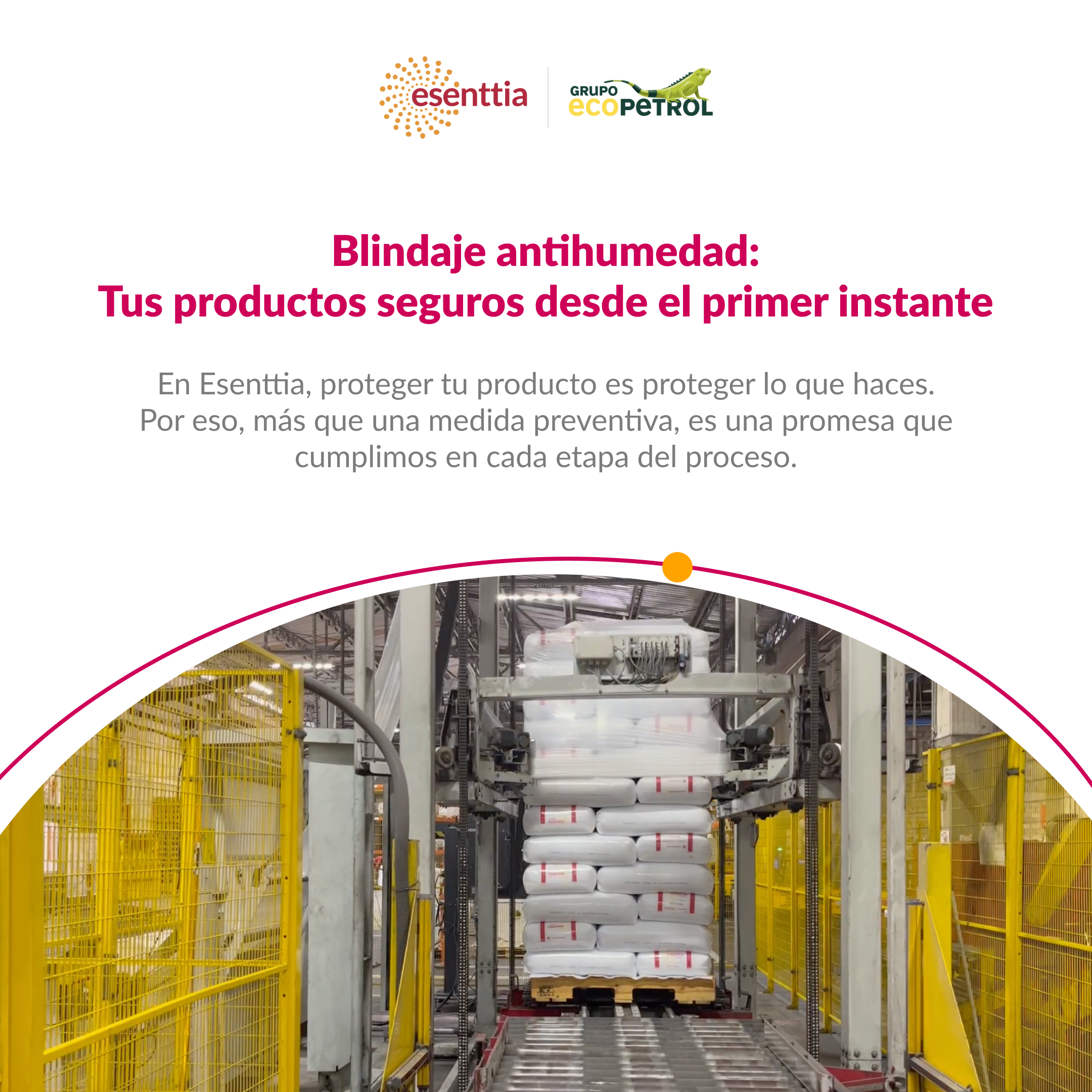 Blindaje antihumedad: Así garantizamos la integridad de tus productos